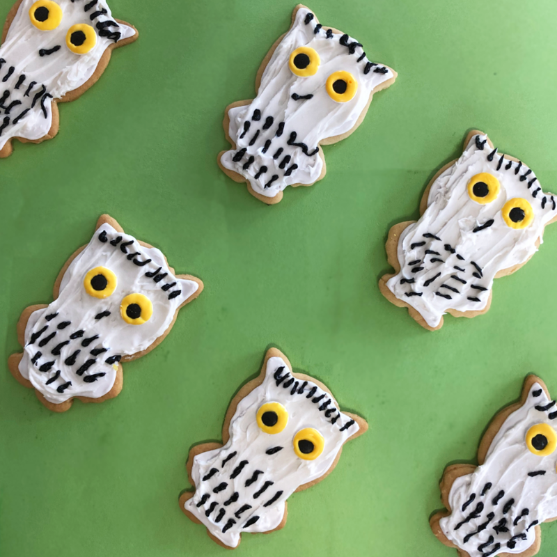 Owl Cookies